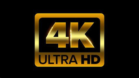 xxx hd veduo|4K Porn Ultra HD